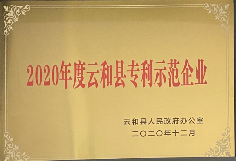 2020年度云和县专利示范企业